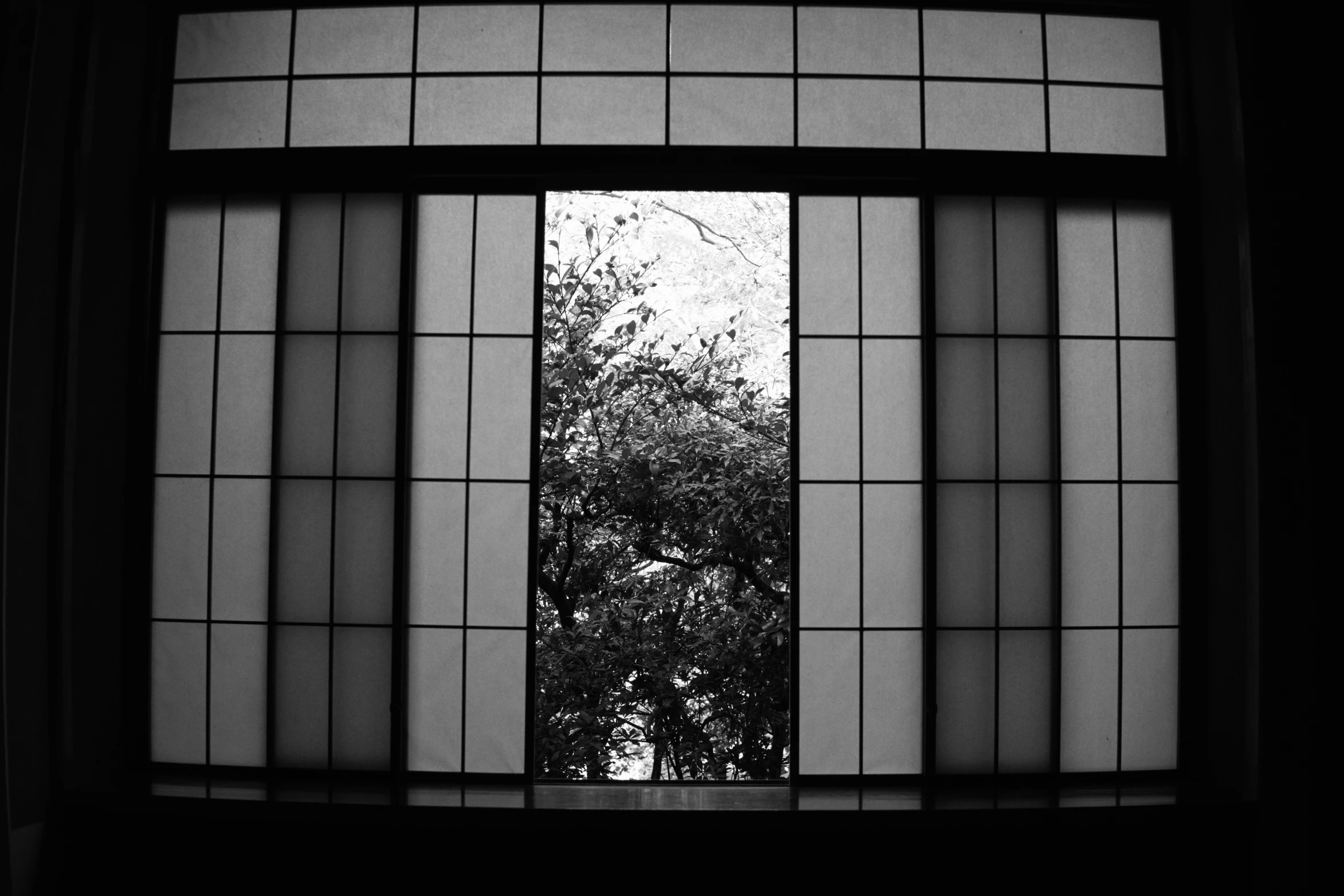a window is open with trees outside and trees beyond