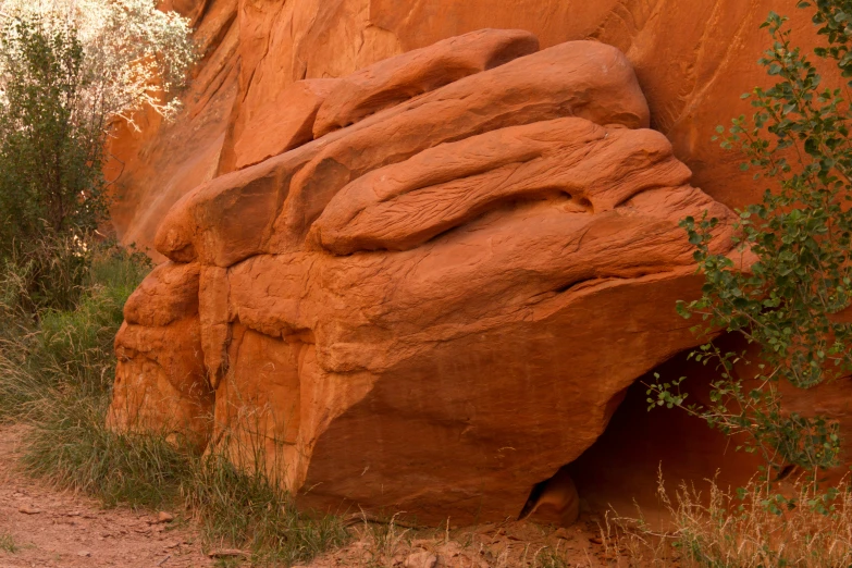 the animals is walking around inside a large rock