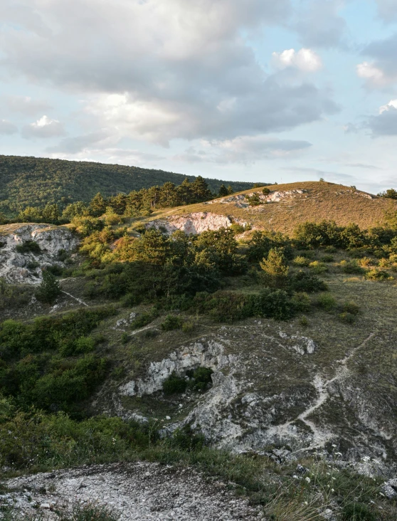 a view of mountains and forest from a distance