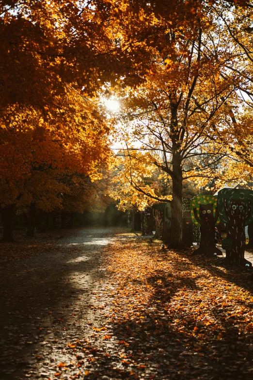 there are many leaves scattered on the ground and trees with yellow, red, orange, and gold leaves