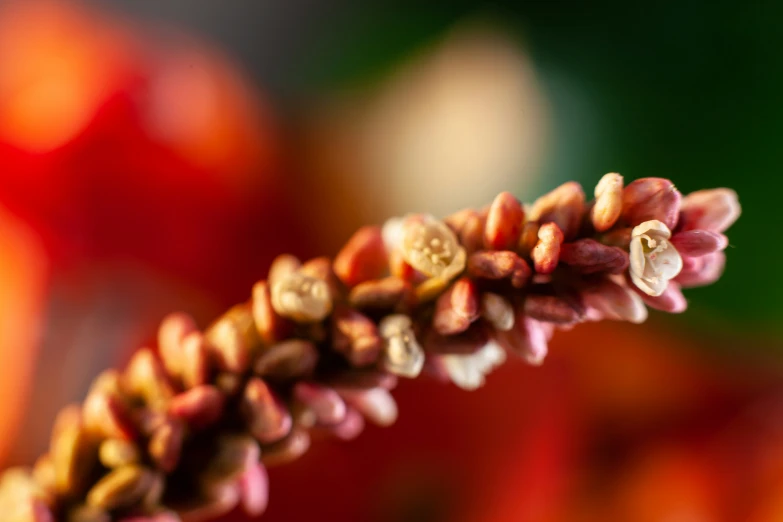 the flower stem has a round hole at the end of it