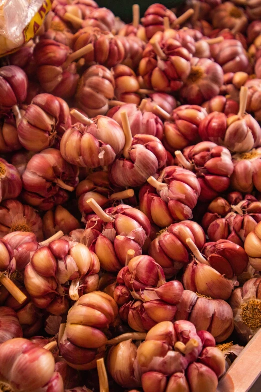 large pile of garlic in bin of spices and pepper