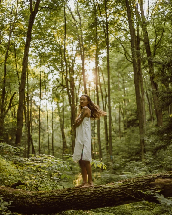 a  standing on a fallen tree