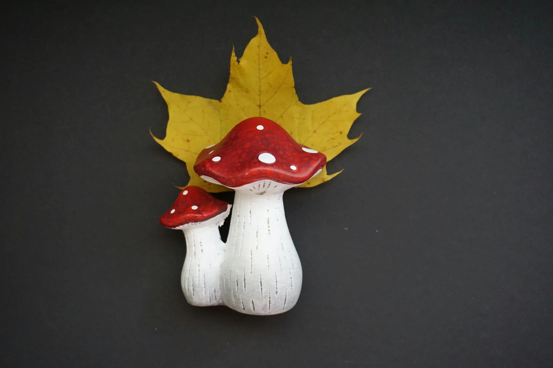 a red and white mushroom with a yellow leaf