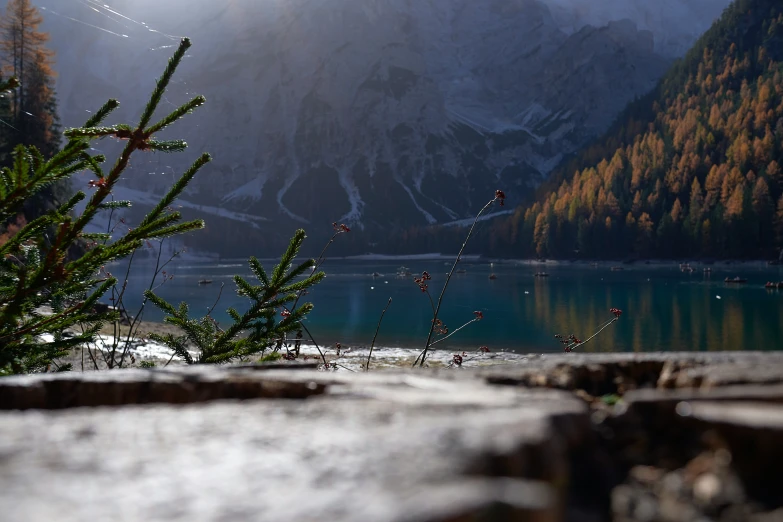 view from below of mountains on lake surrounded by pine