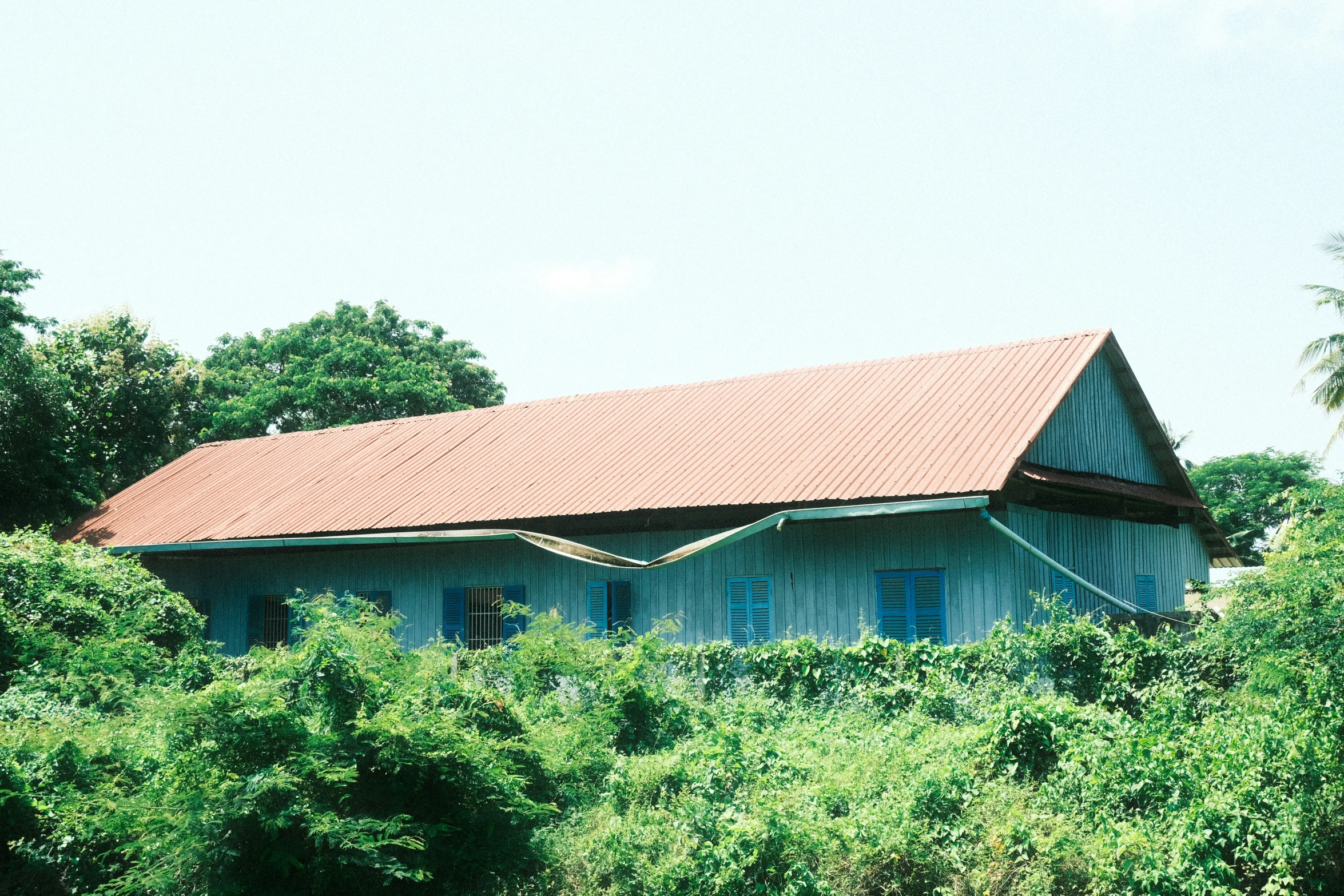 an old cottage nestled among the lush vegetation