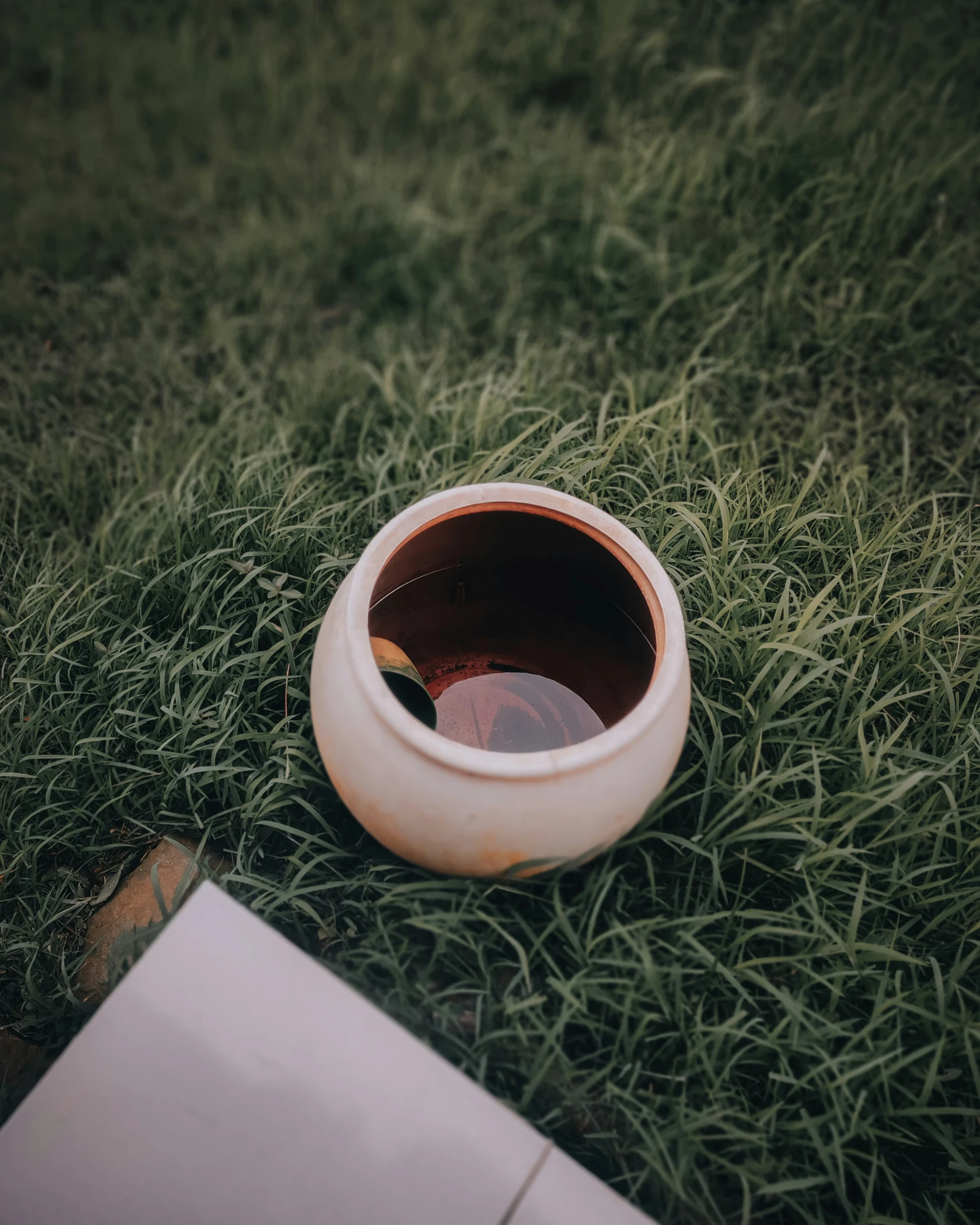 an empty cup laying on the grass outside