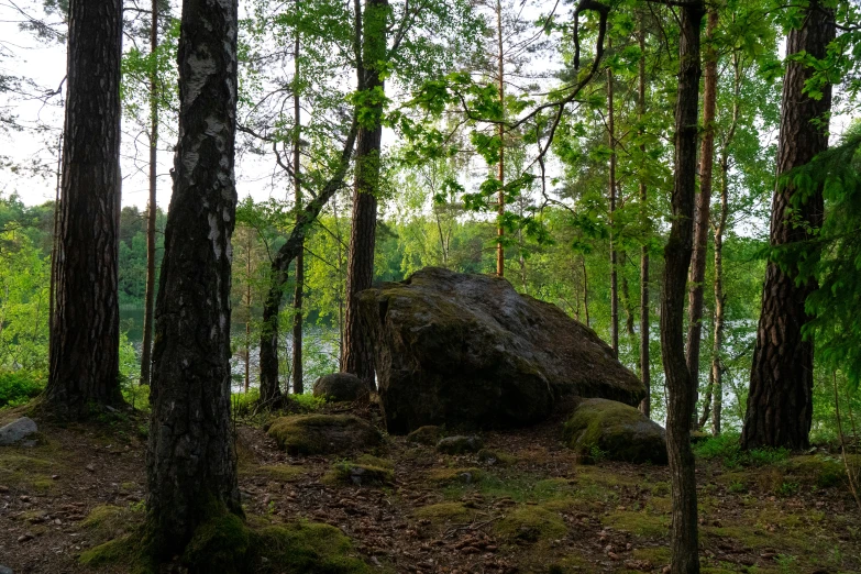 an image of a big rock in the middle of the woods