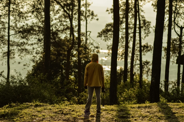 a man standing next to tall trees on a hillside