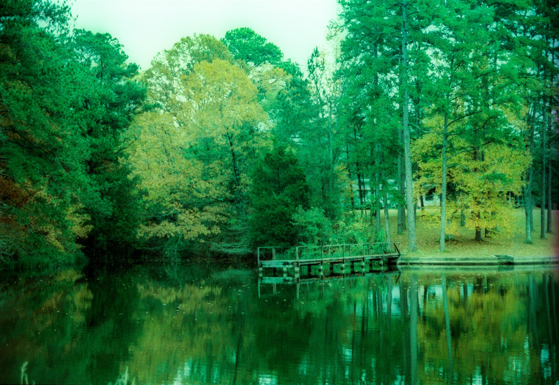 a body of water with trees in the background