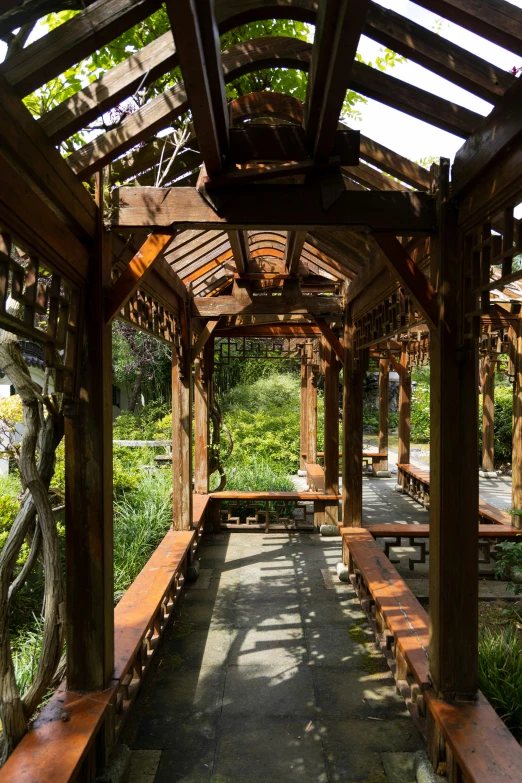 an empty outdoor wooden bench lined pathway