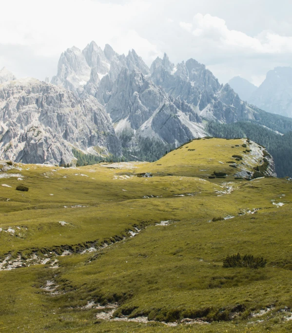 mountain pasture with green vegetation and rock formations