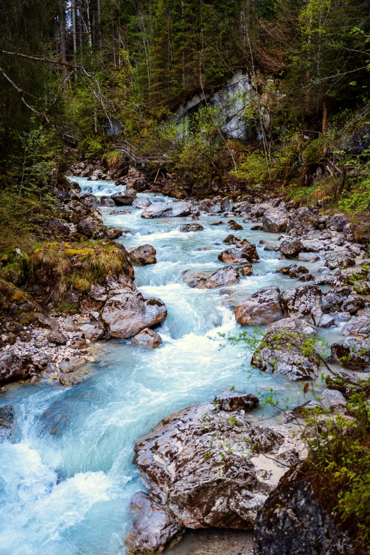 there is a blue stream in the woods