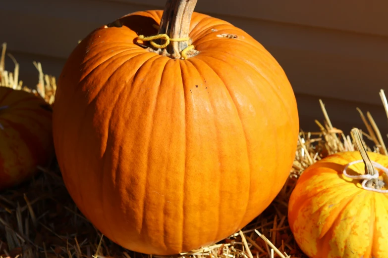 two pumpkins sitting on the ground in some straw