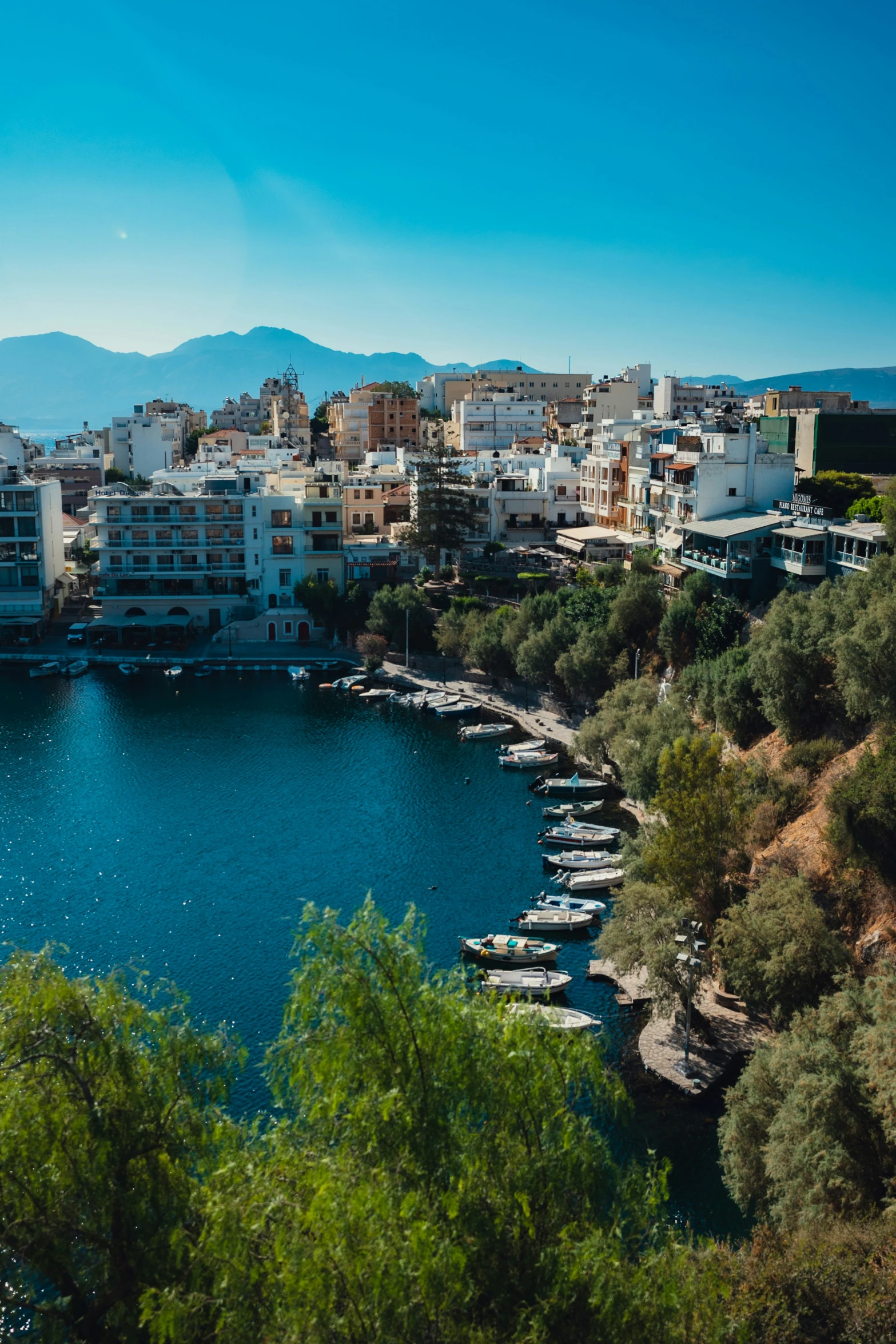 a city with boats is on the water