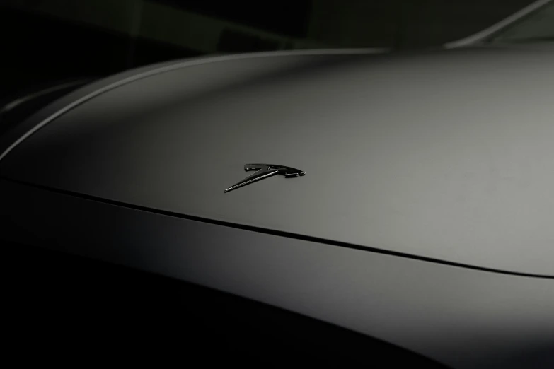 the badge on the hood of a sports car