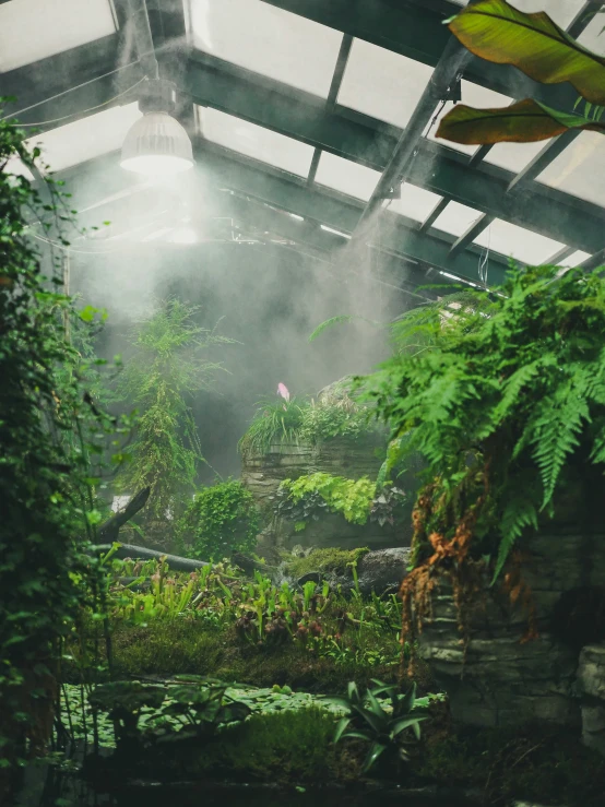 a greenhouse with rain coming from the roof and some vegetation