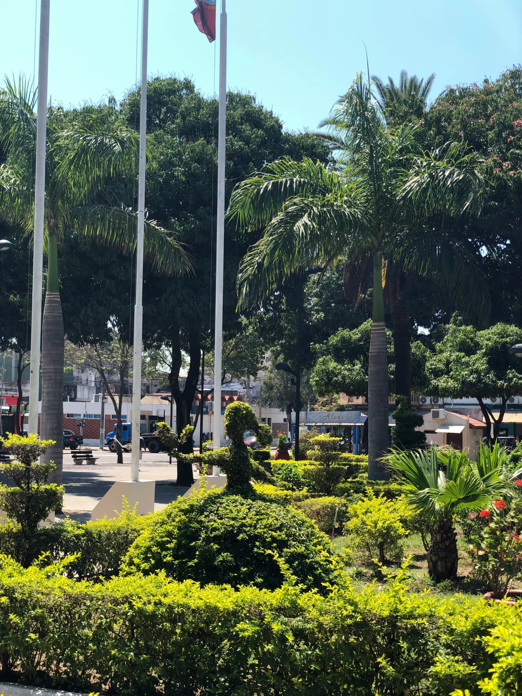 a park with trees and shrubs and plants around