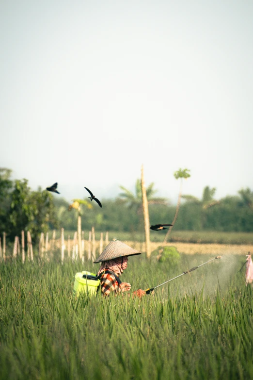 a man is crouching in some tall green grass while birds fly by