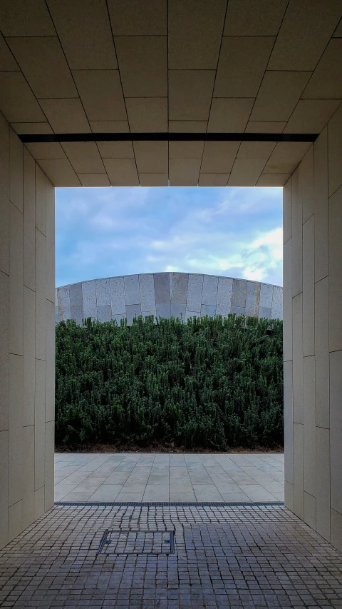 a room with no one inside it and several hedges surrounding