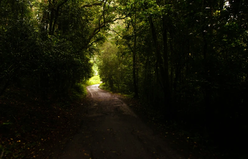 an empty road and some trees in the distance