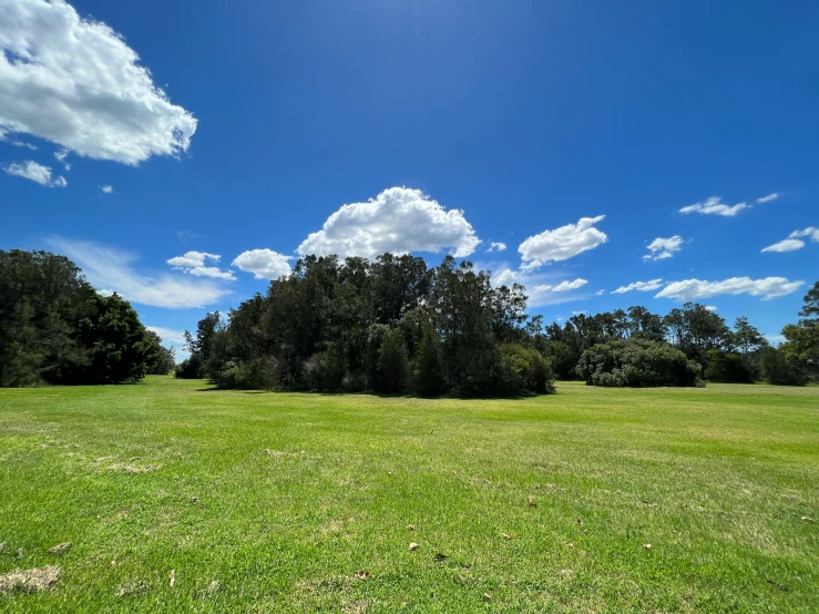 a large grassy field with trees and blue sky