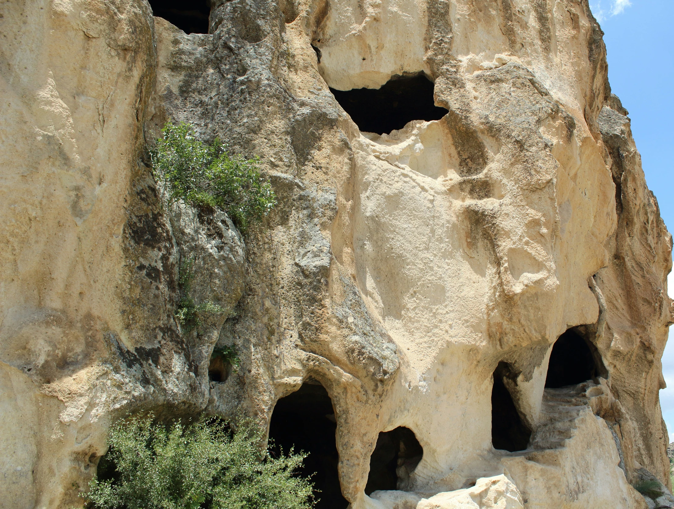a rock structure with carved caves and trees