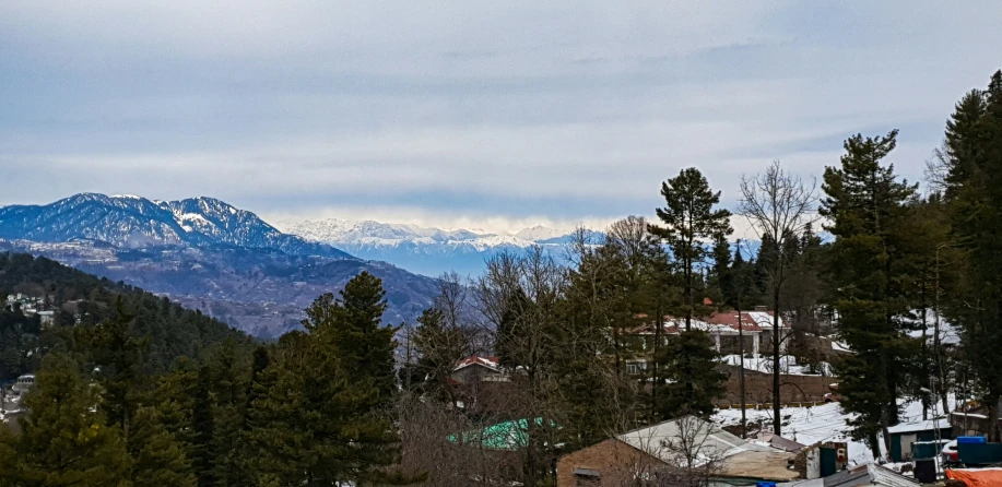 a snow - capped mountain with pine trees below