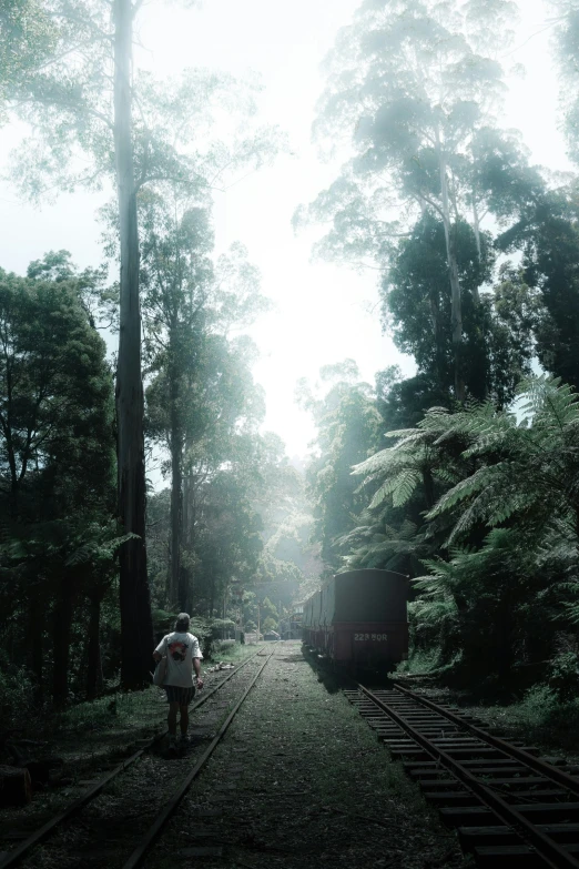 a person walking down the tracks through the woods