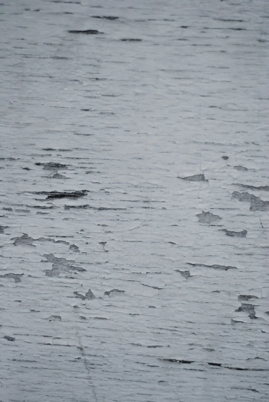 several birds fly through the rain in the ocean