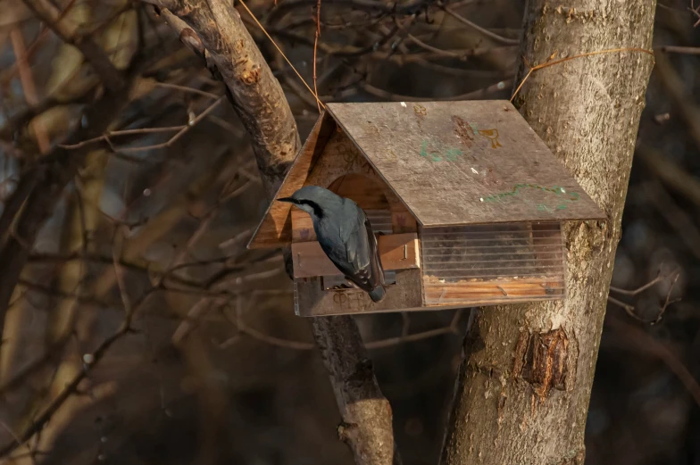 a bird house sitting on top of a tree nch