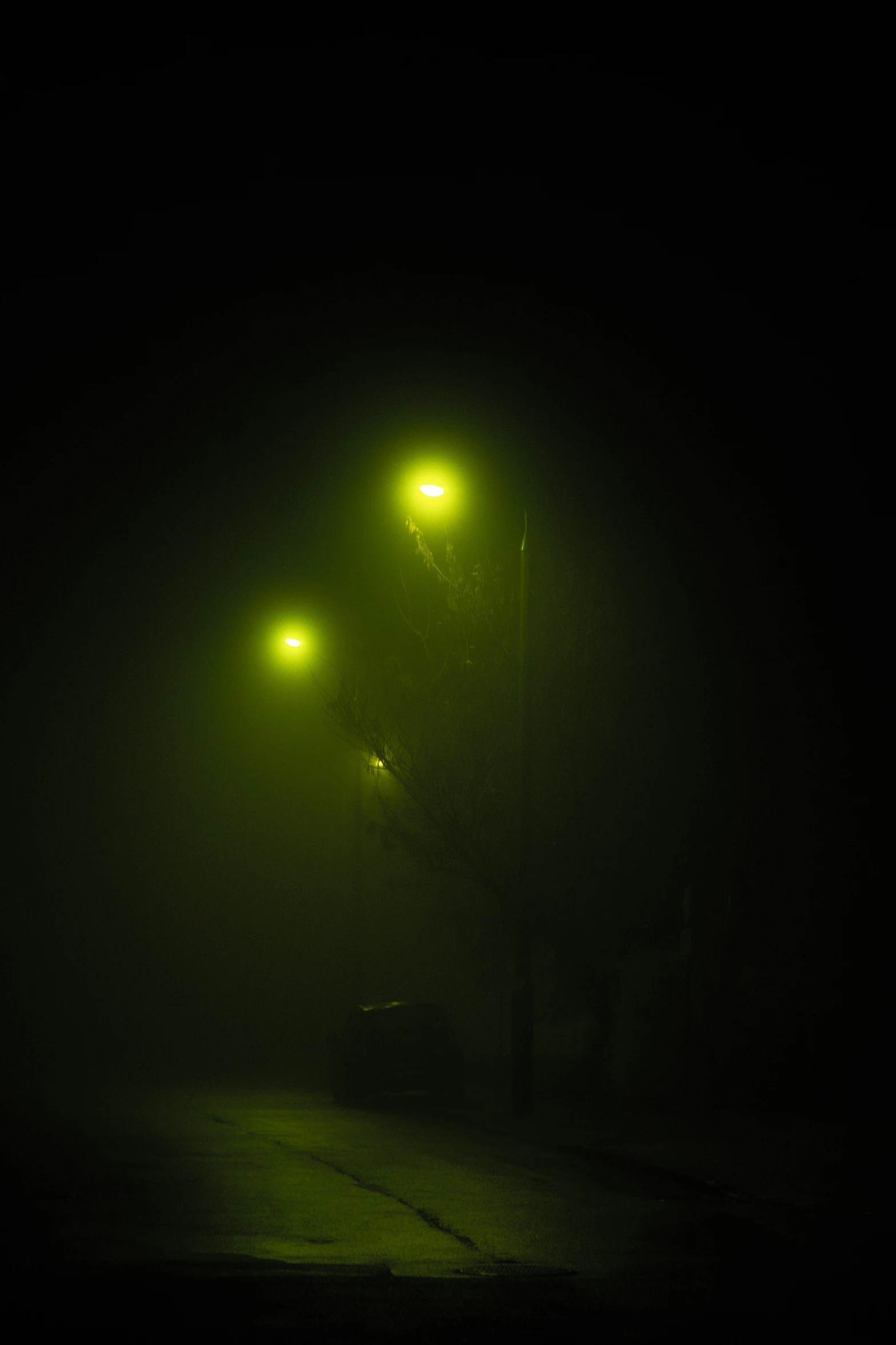 two streetlights with lights glowing on a foggy street