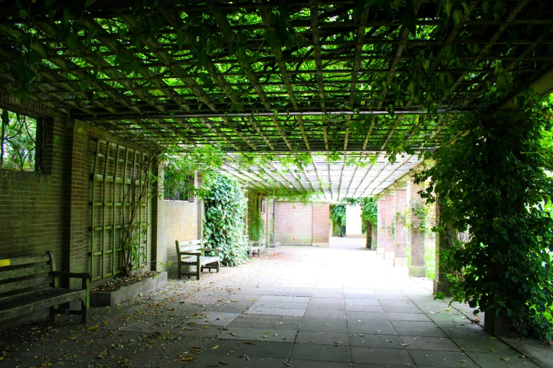 a very long covered walkway between two buildings