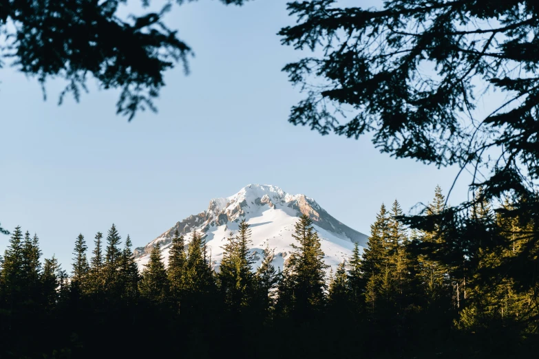 a snow covered mountain on a clear day in the trees