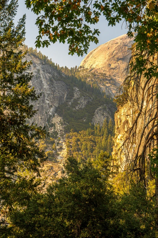 an expansive view of a mountain and trees