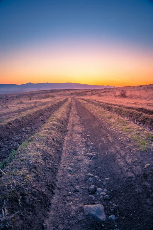 a dirt road leads to the horizon as the sun rises