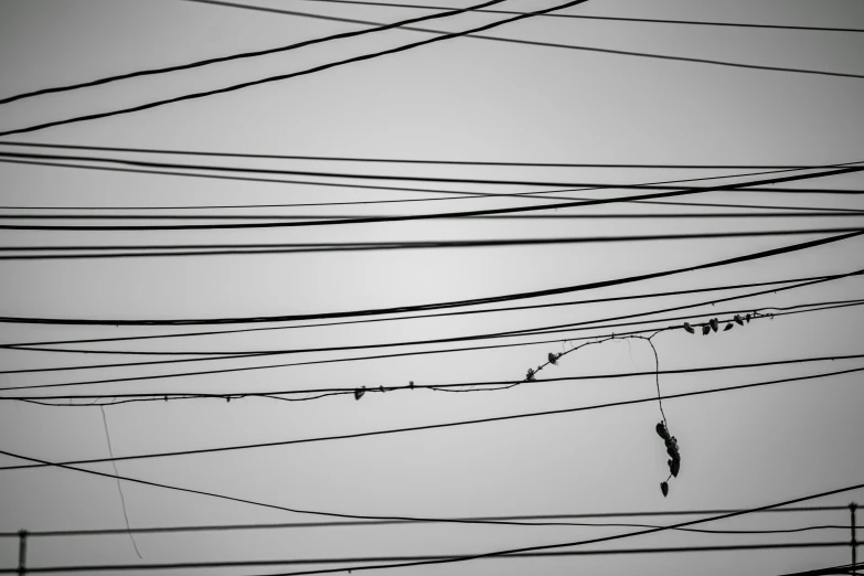 an overcast sky over some wires with lines