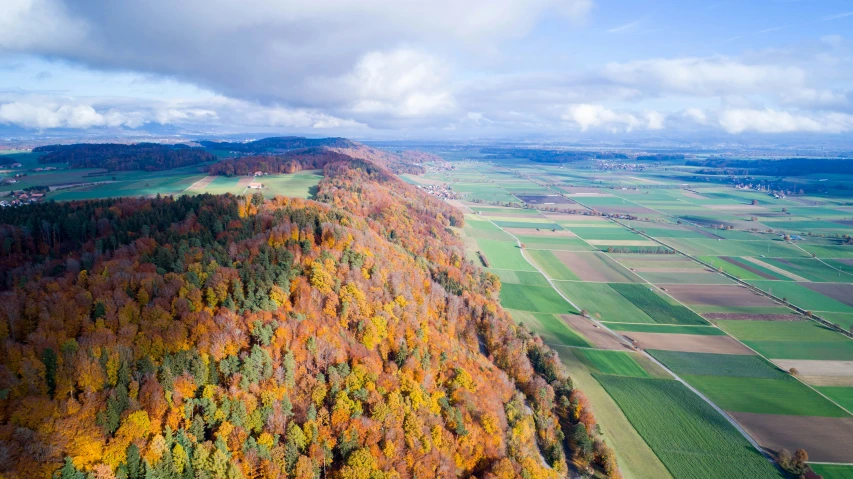 a view from the air of a wooded area with several fields and large trees in the distance