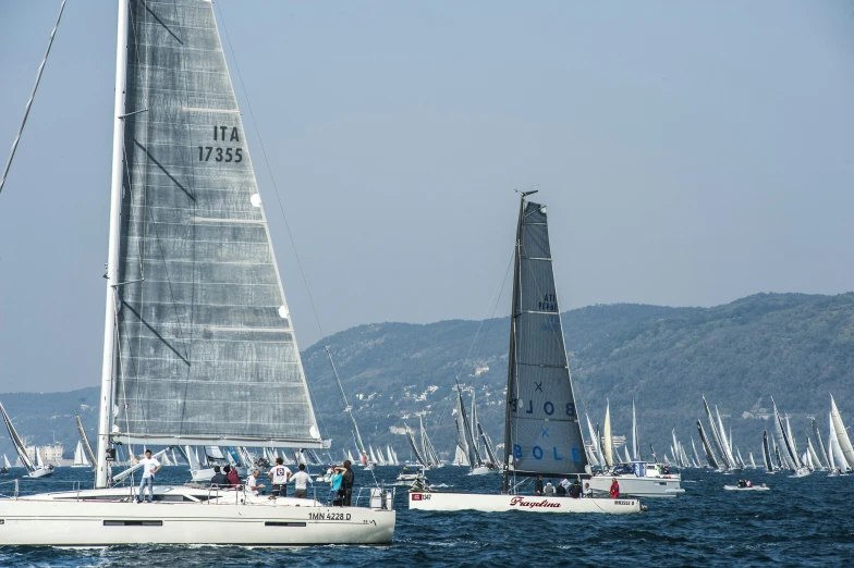 the sailboats in a row are driving on the water