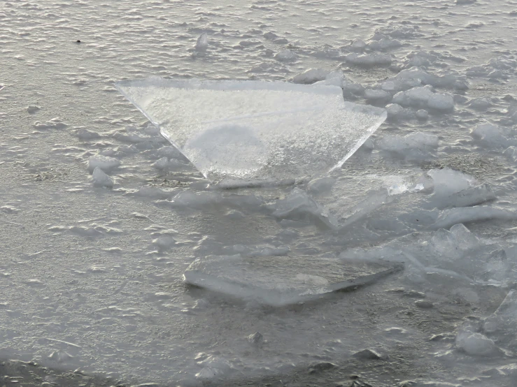 a single piece of paper floating in a pool of water