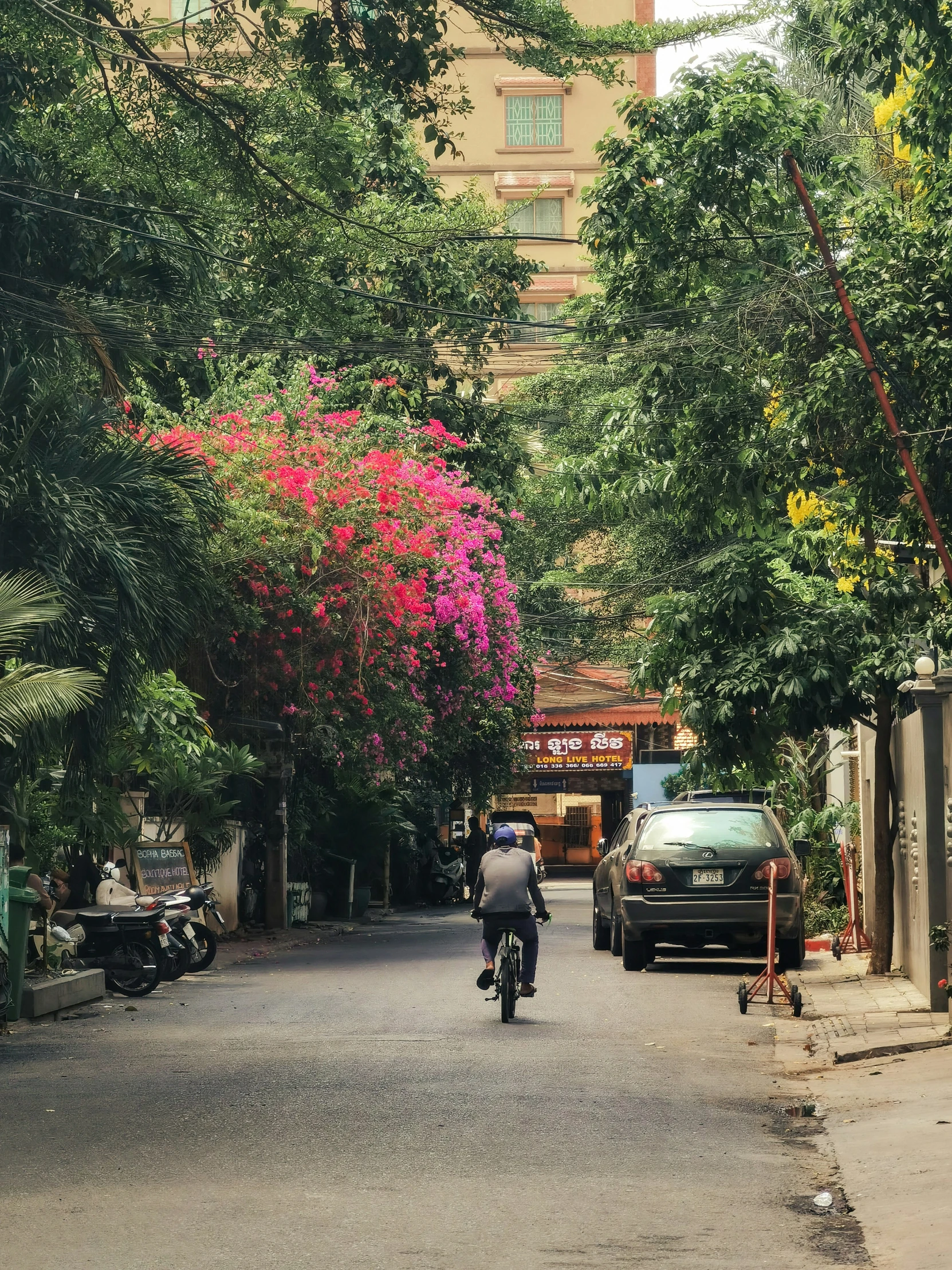 a motorcycle is riding down the road in between some trees