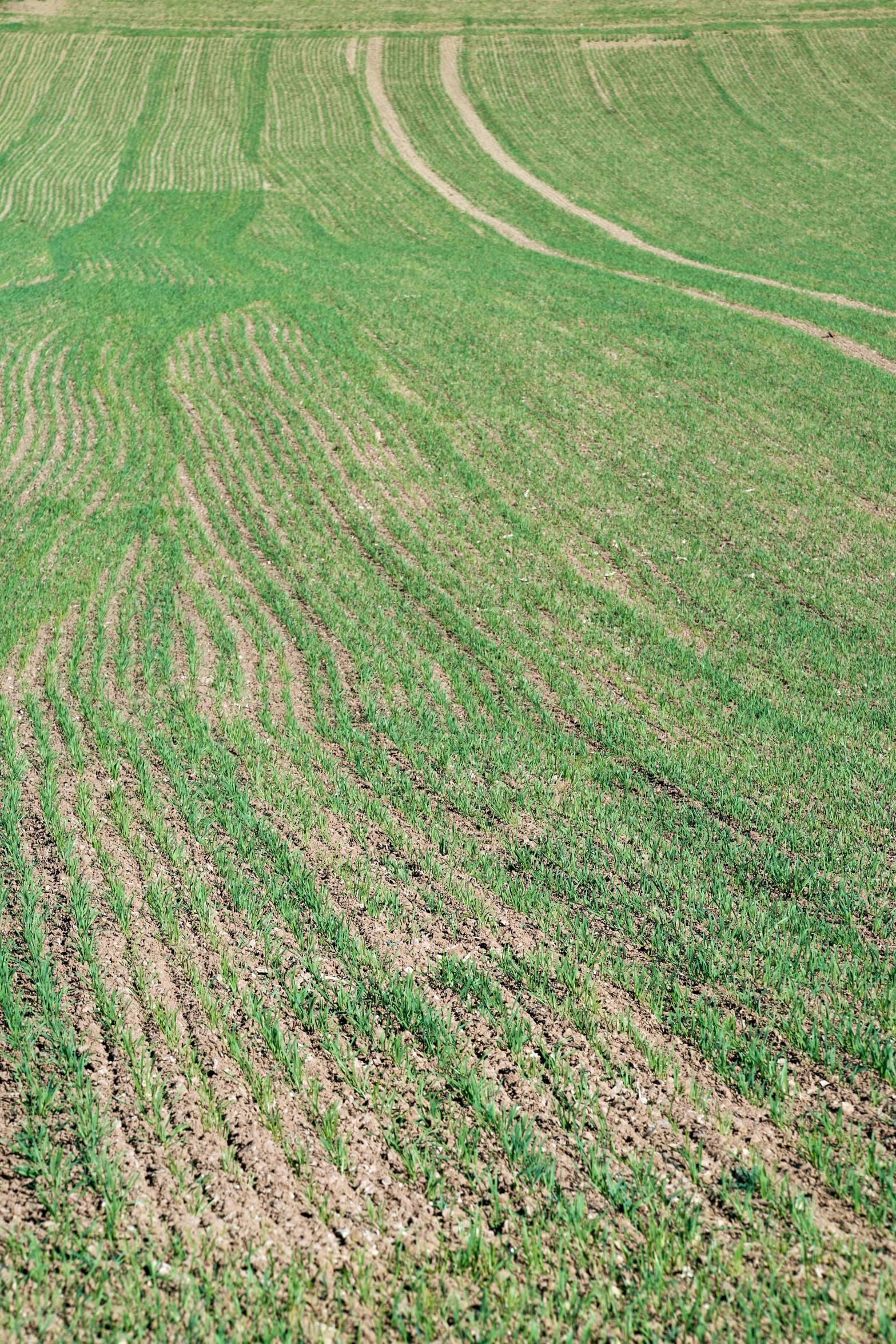 an open field with an empty farm field