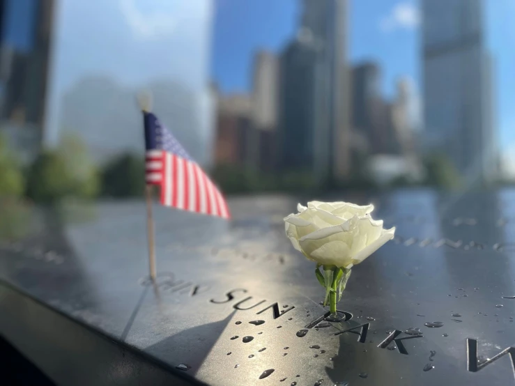 white rose sitting on the inscription with an american flag