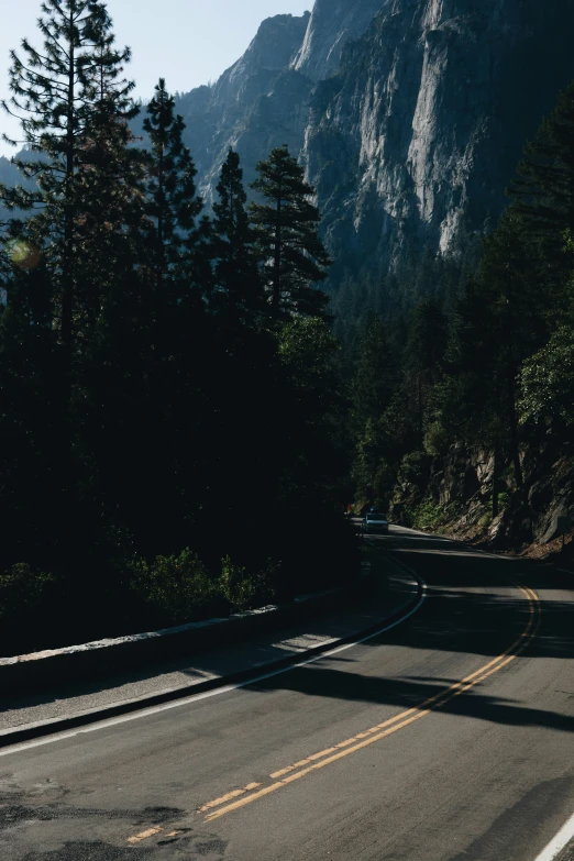 a bus drives along a mountain road next to a forested area