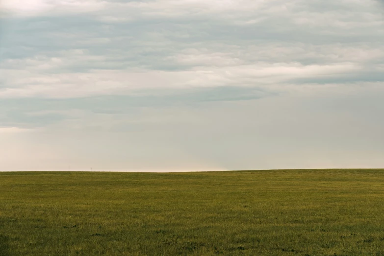 a small airplane flying over a green field