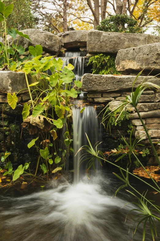 a waterfall with moss in the foreground and trees in the background