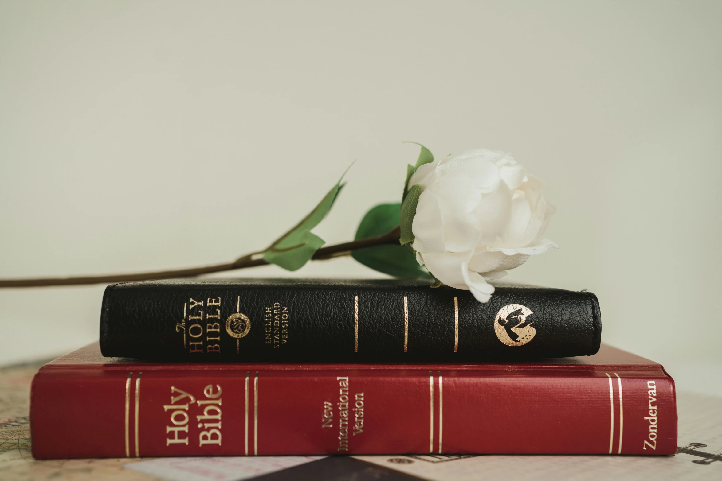 there is a flower that is on the book