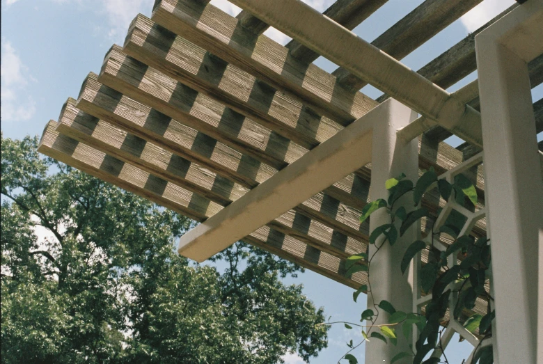 an artisticly designed outdoor patio with trees in the background