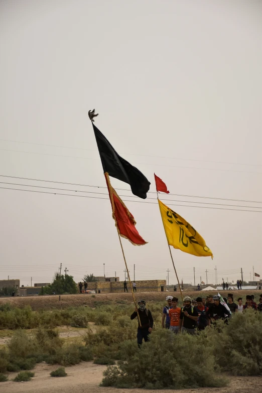 several people in a field holding flags under a cloudy sky