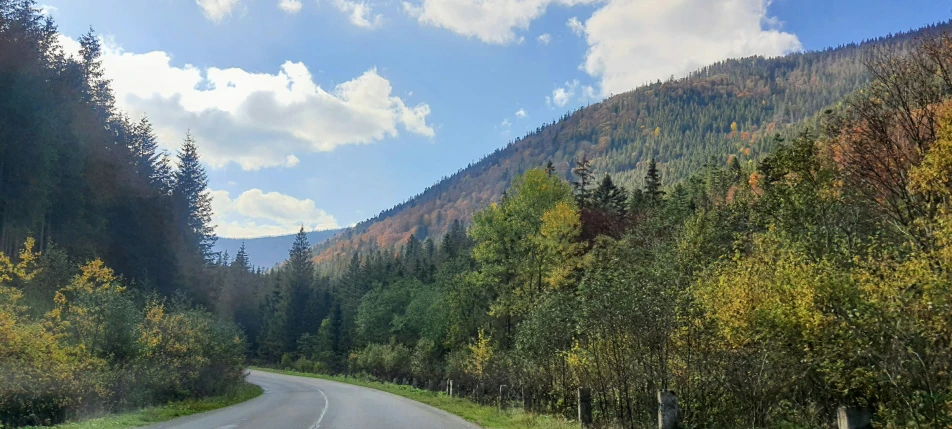 a scenic highway through trees in the mountains